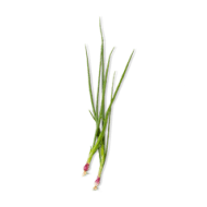 ingredient pic