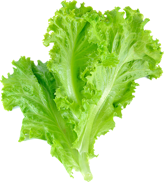 ingredient pic